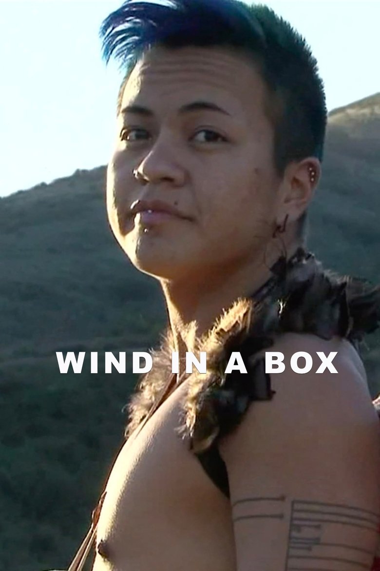 Poster of Wind in a Box