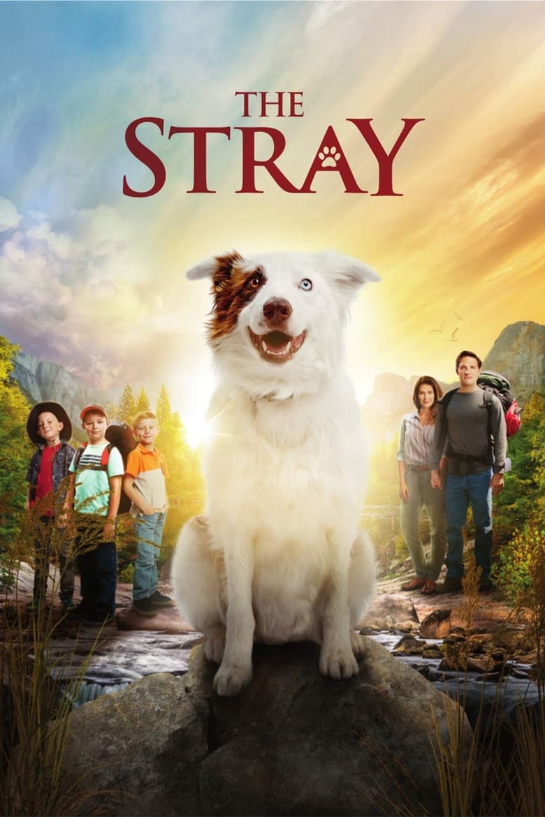 Poster of The Stray