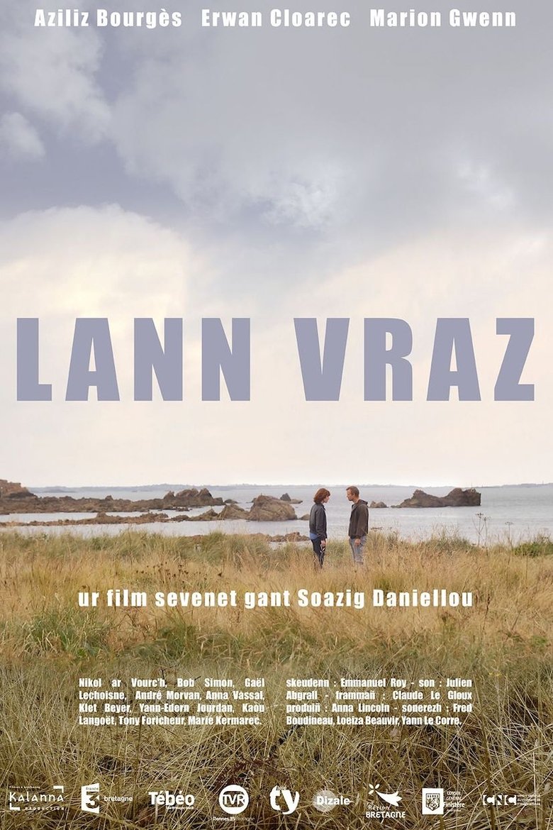 Poster of Lann vraz
