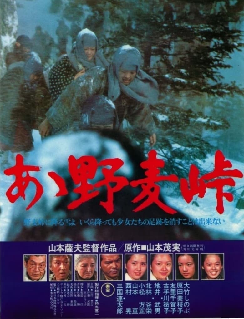 Poster of Nomugi Pass