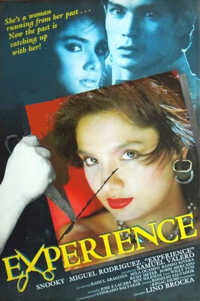 Poster of Experience