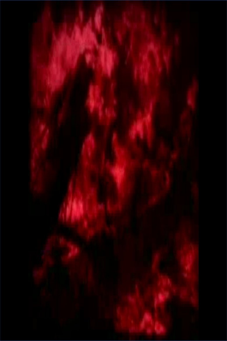 Poster of Koan of Sisyphus