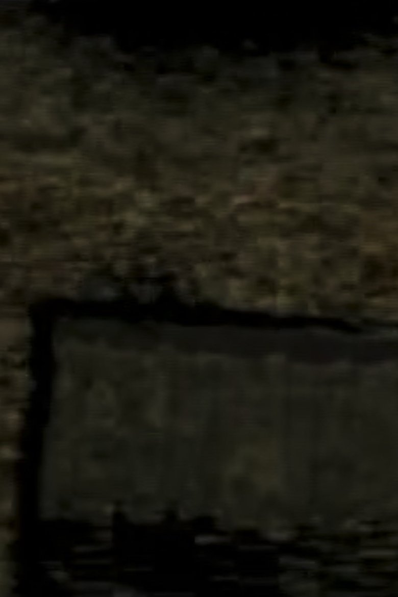 Poster of 7 Videos: #4