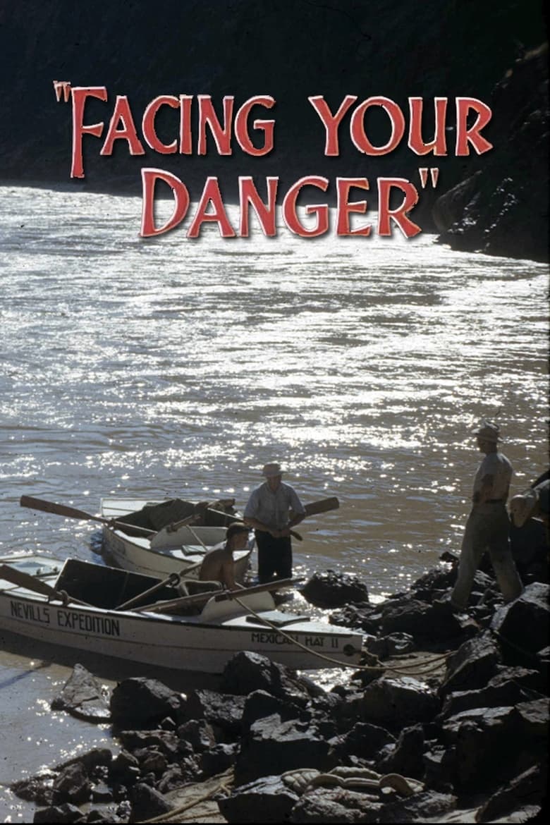 Poster of Facing Your Danger