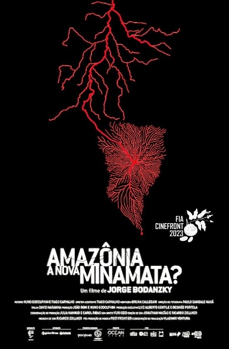 Poster of Amazônia, a Nova Minamata?