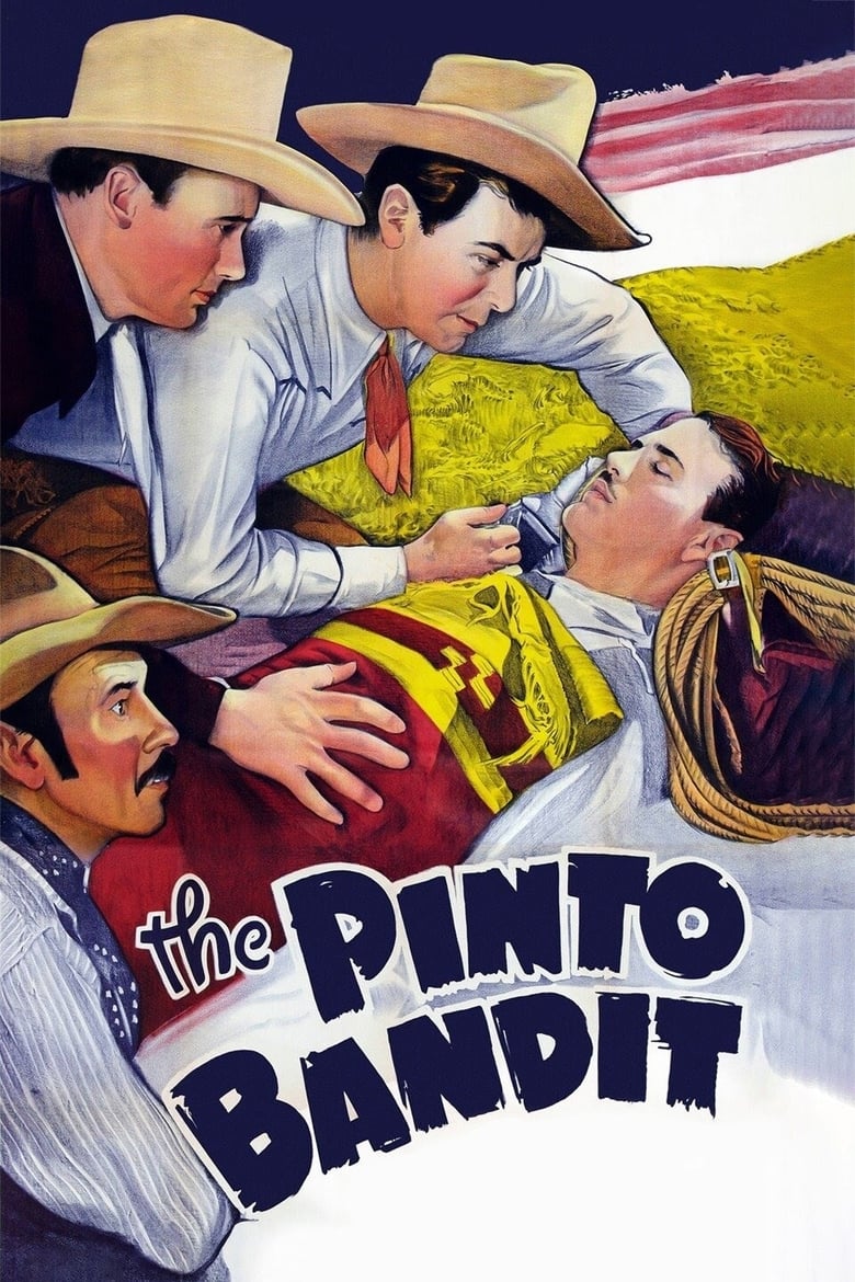 Poster of The Pinto Bandit