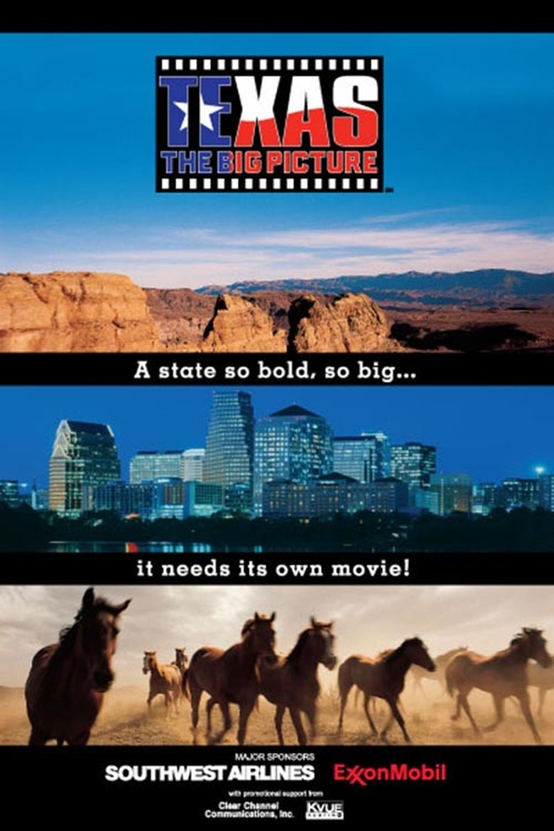 Poster of Texas: The Big Picture