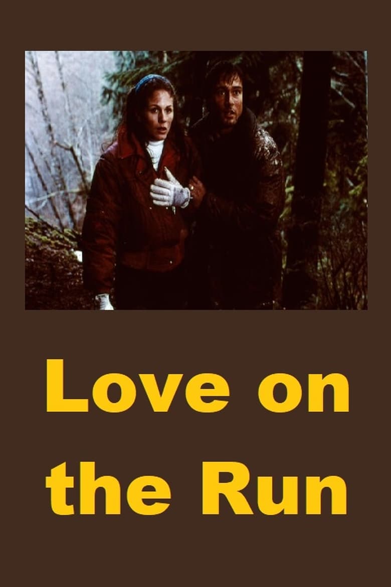 Poster of Love on the Run
