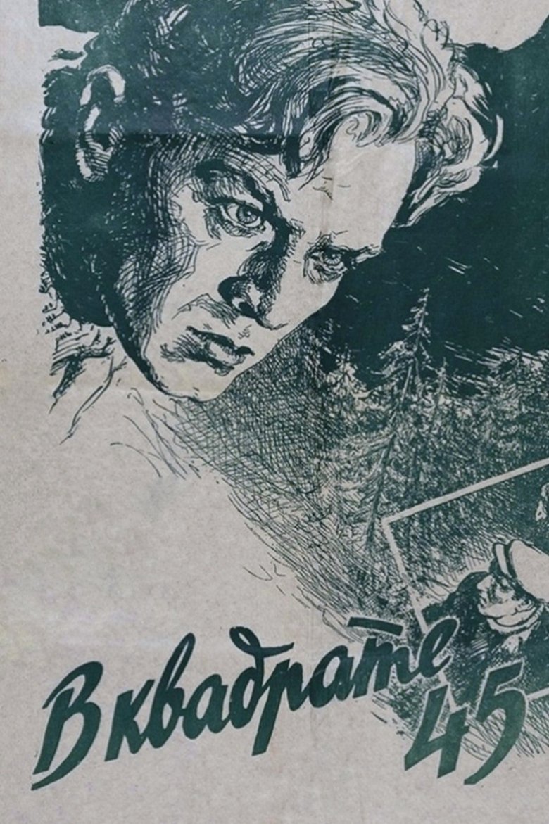 Poster of In Square 45