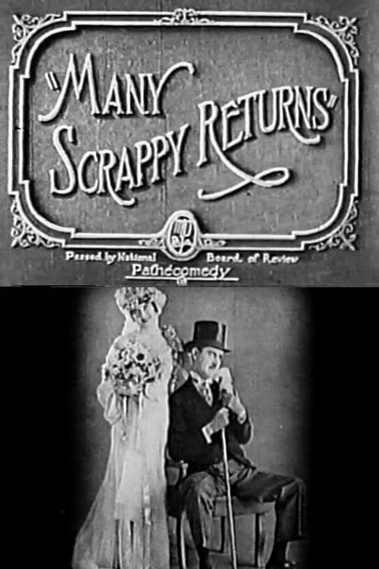 Poster of Many Scrappy Returns