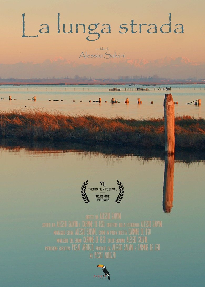 Poster of La lunga strada