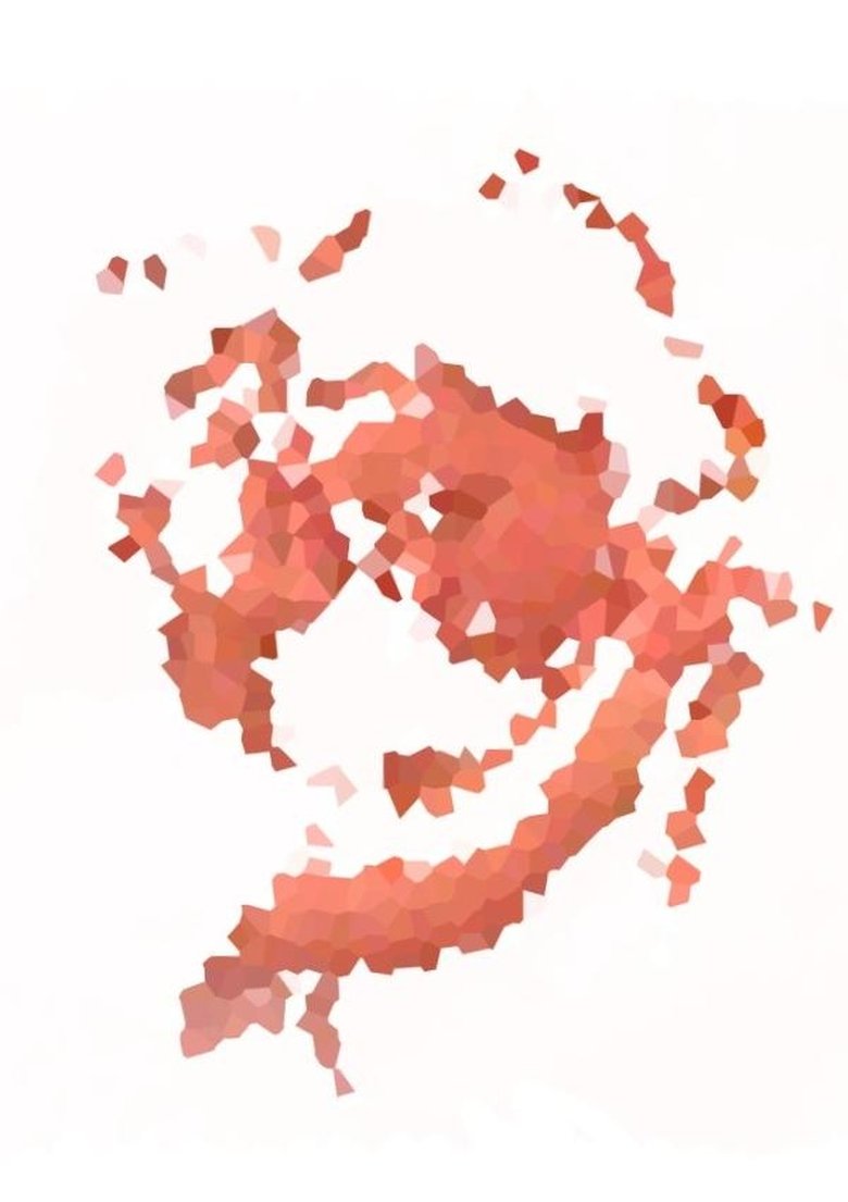 Poster of Mudanças