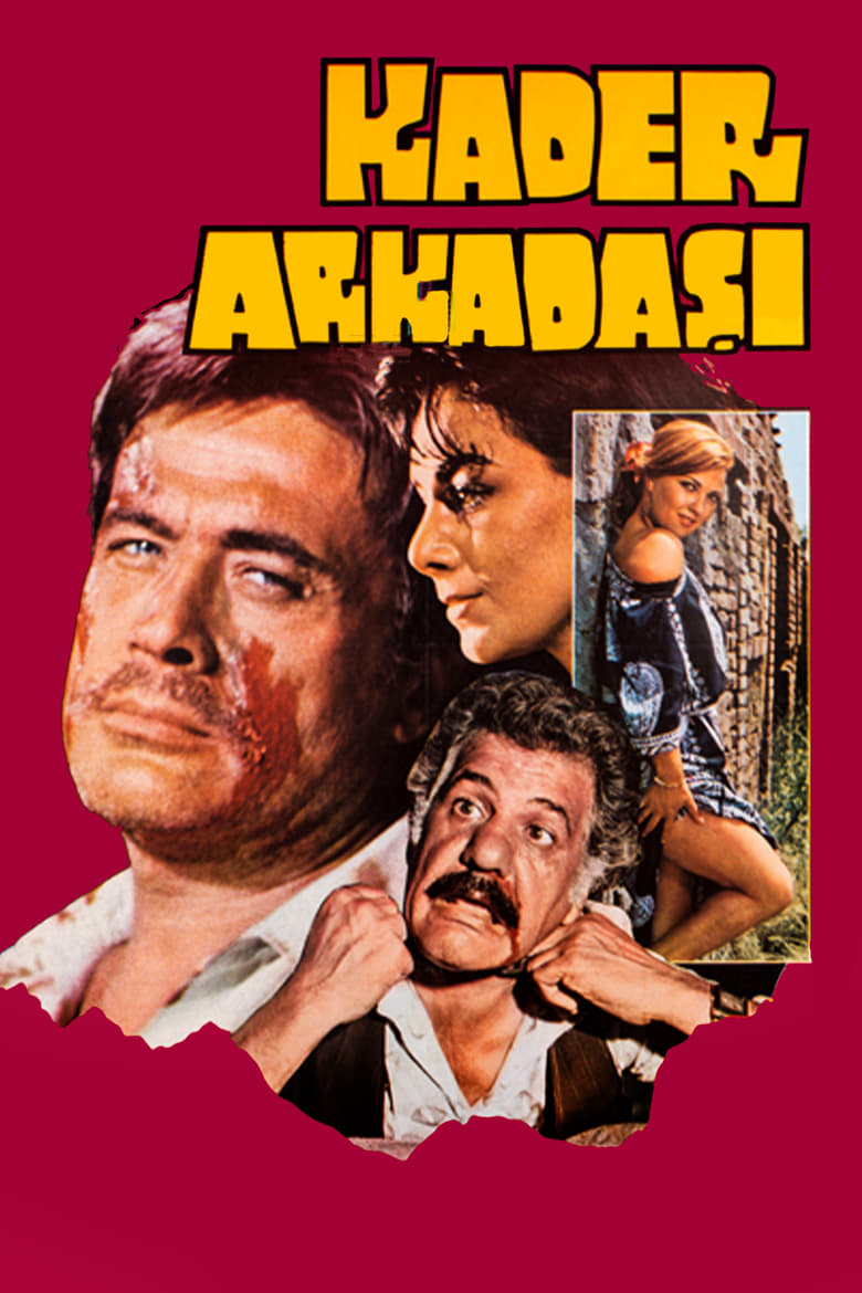 Poster of Kader Arkadaşı