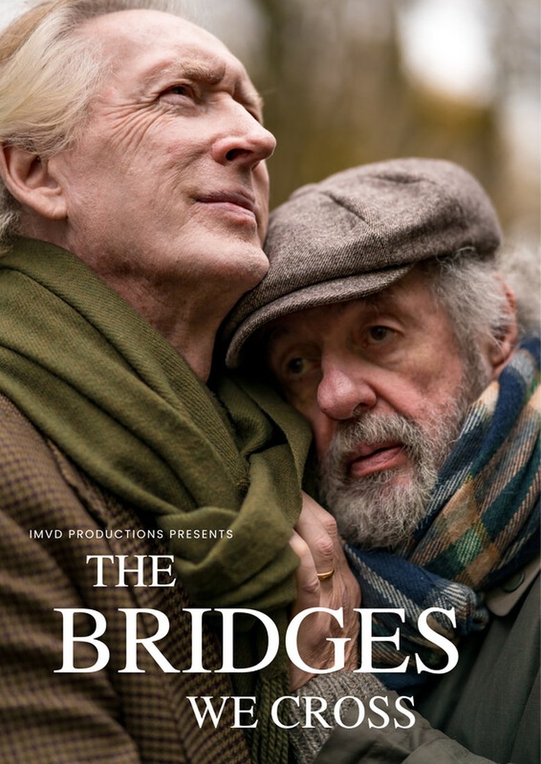 Poster of The Bridges We Cross