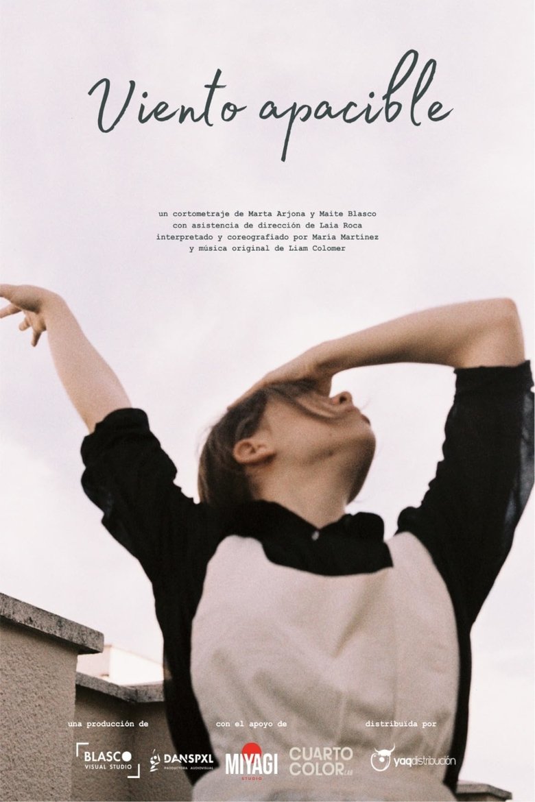 Poster of Viento Apacible