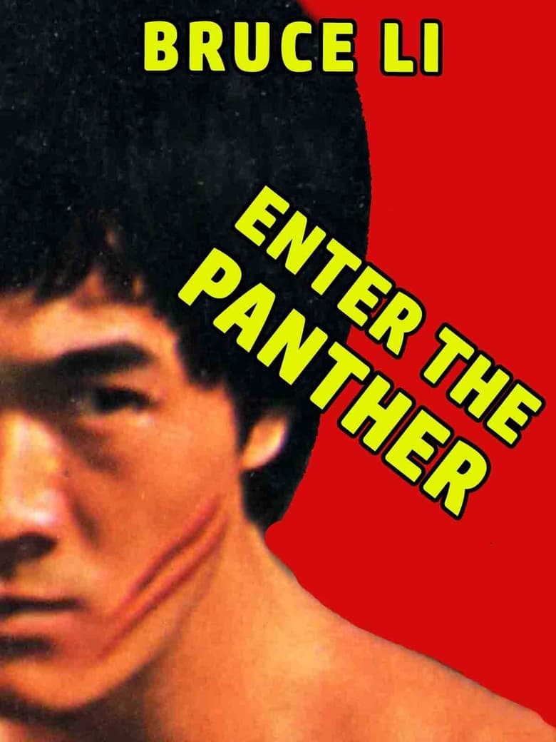 Poster of Enter the Panther