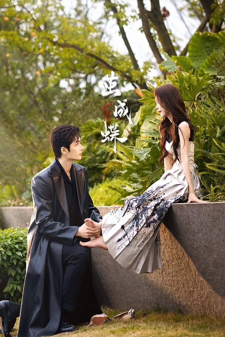 Poster of 茧成蝶
