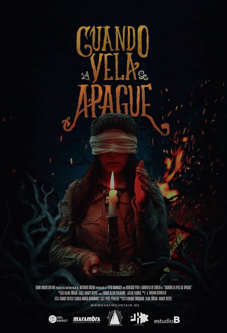 Poster of The Game Behind The Dark