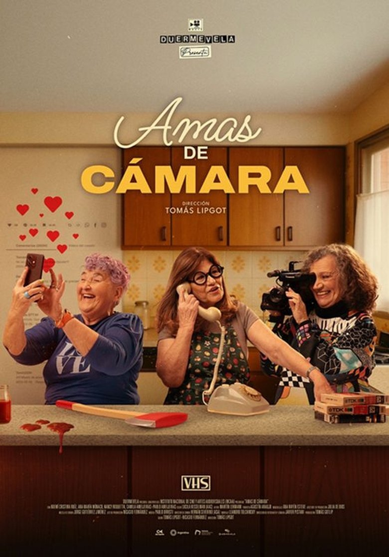 Poster of Ladies of the Lens