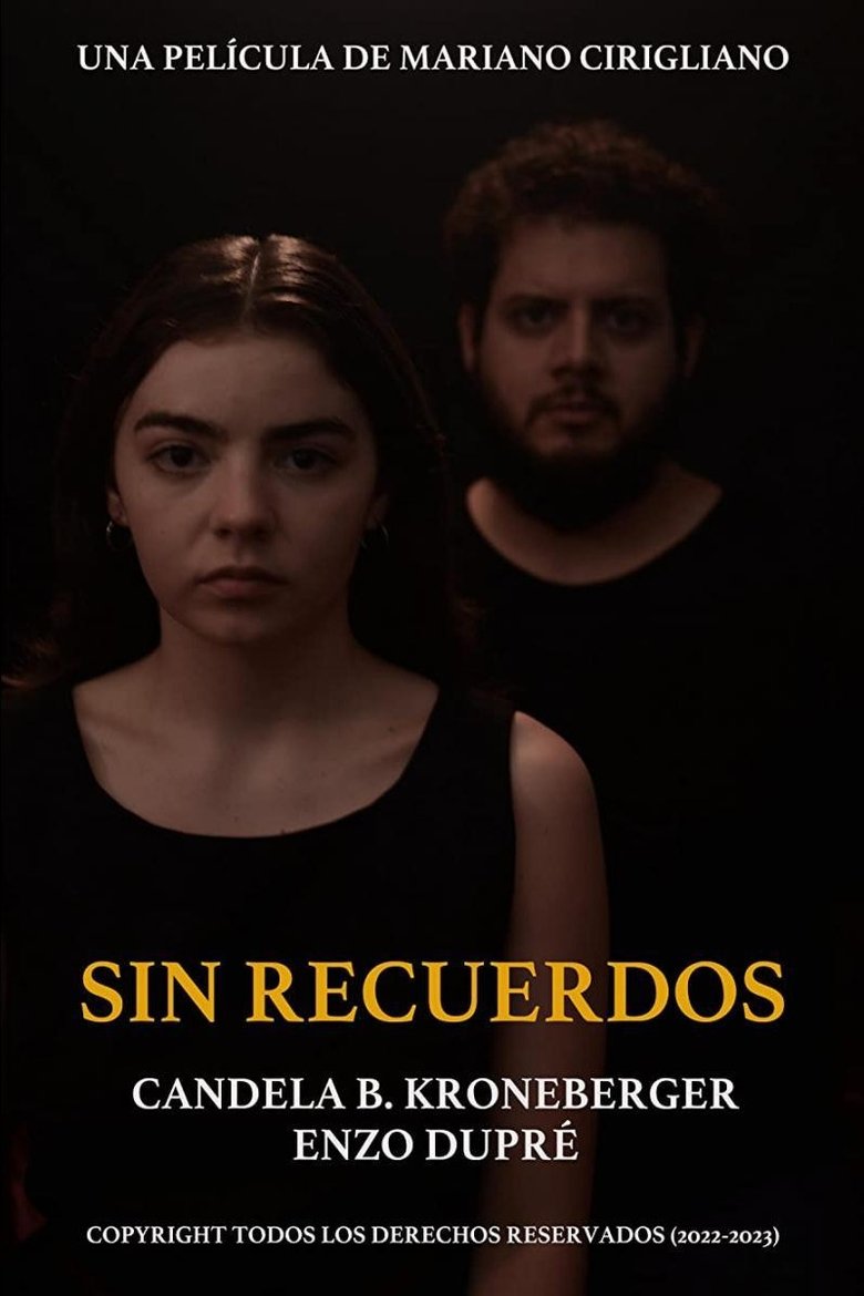 Poster of No Memories