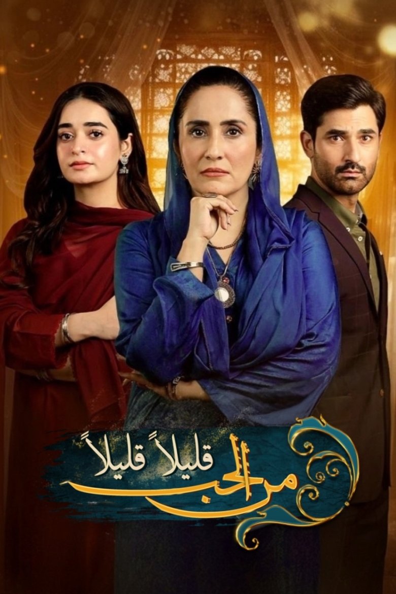Poster of Bechari Qudsia