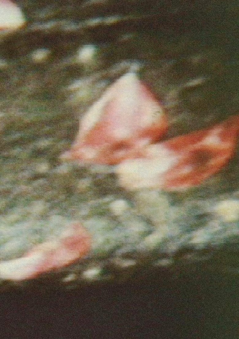 Poster of Shishōsetsu 1