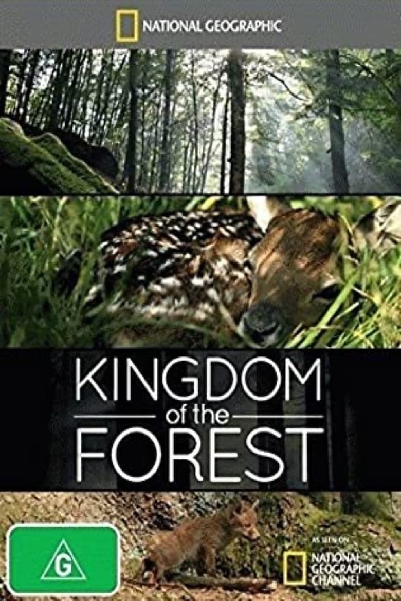 Poster of Kingdom of the Forest