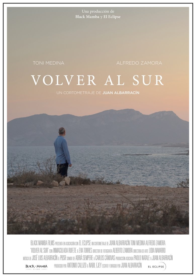 Poster of Volver al sur