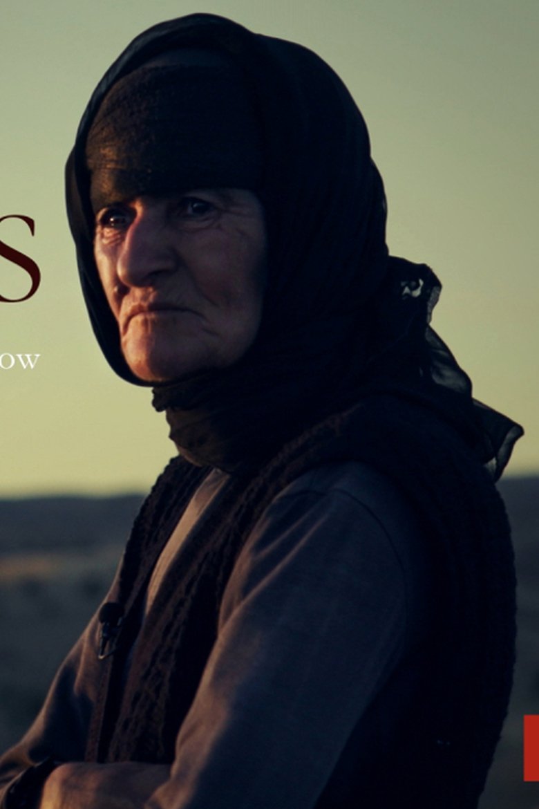 Poster of Last Christians