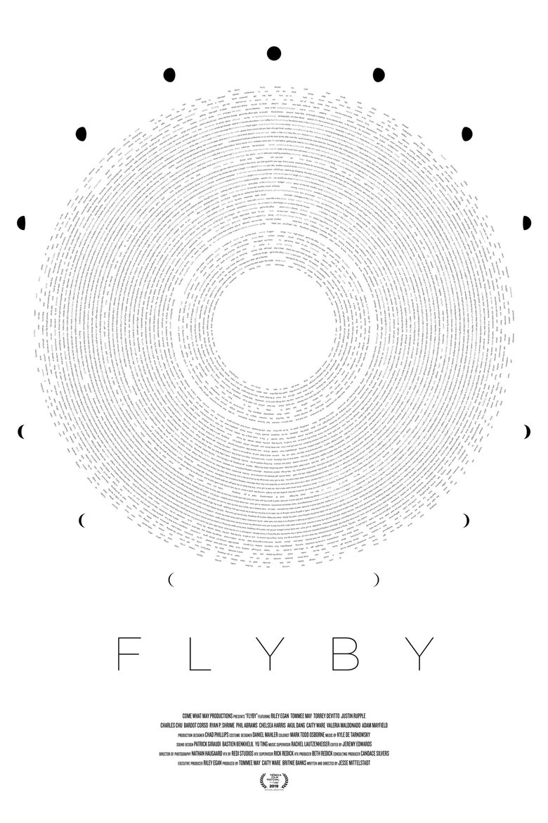 Poster of Flyby