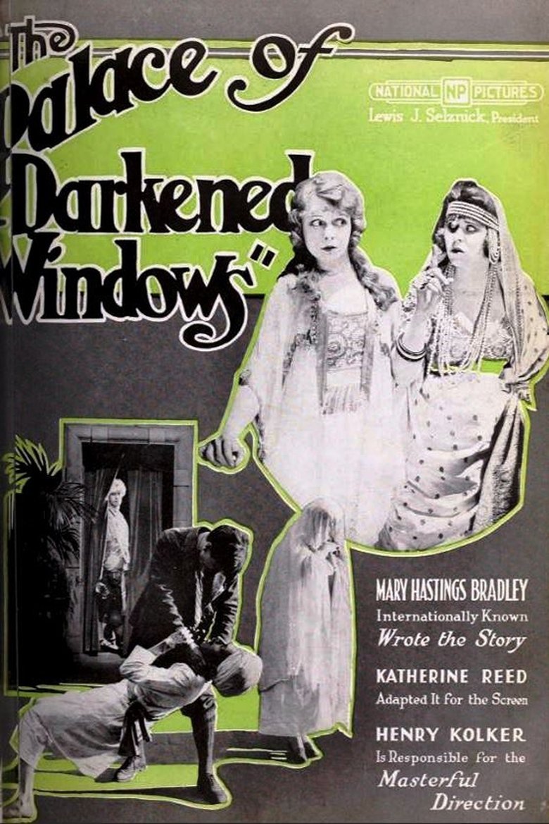 Poster of The Palace of Darkened Windows