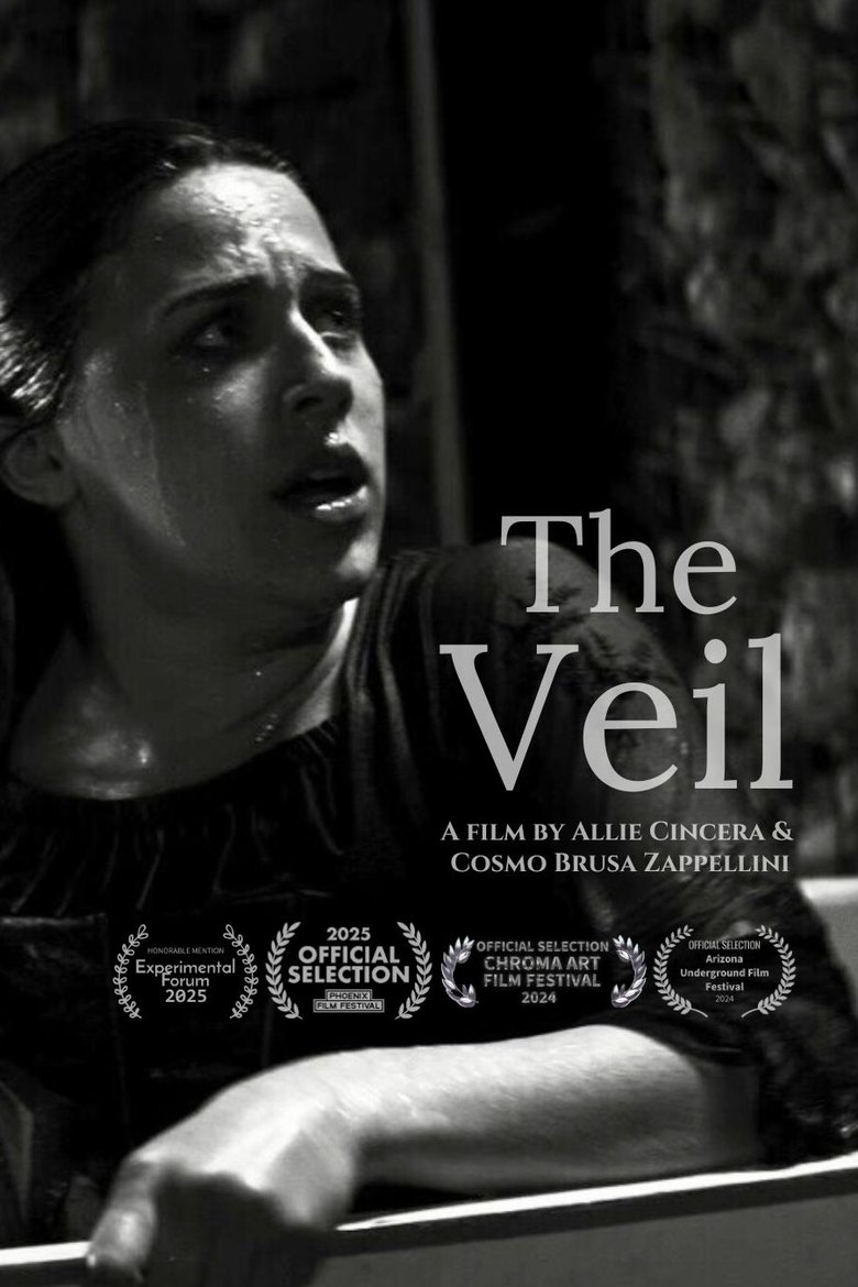 Poster of The Veil