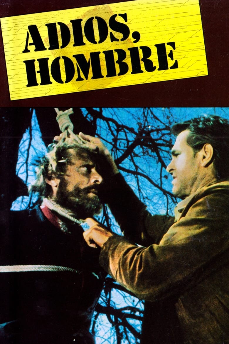 Poster of Adios, Hombre