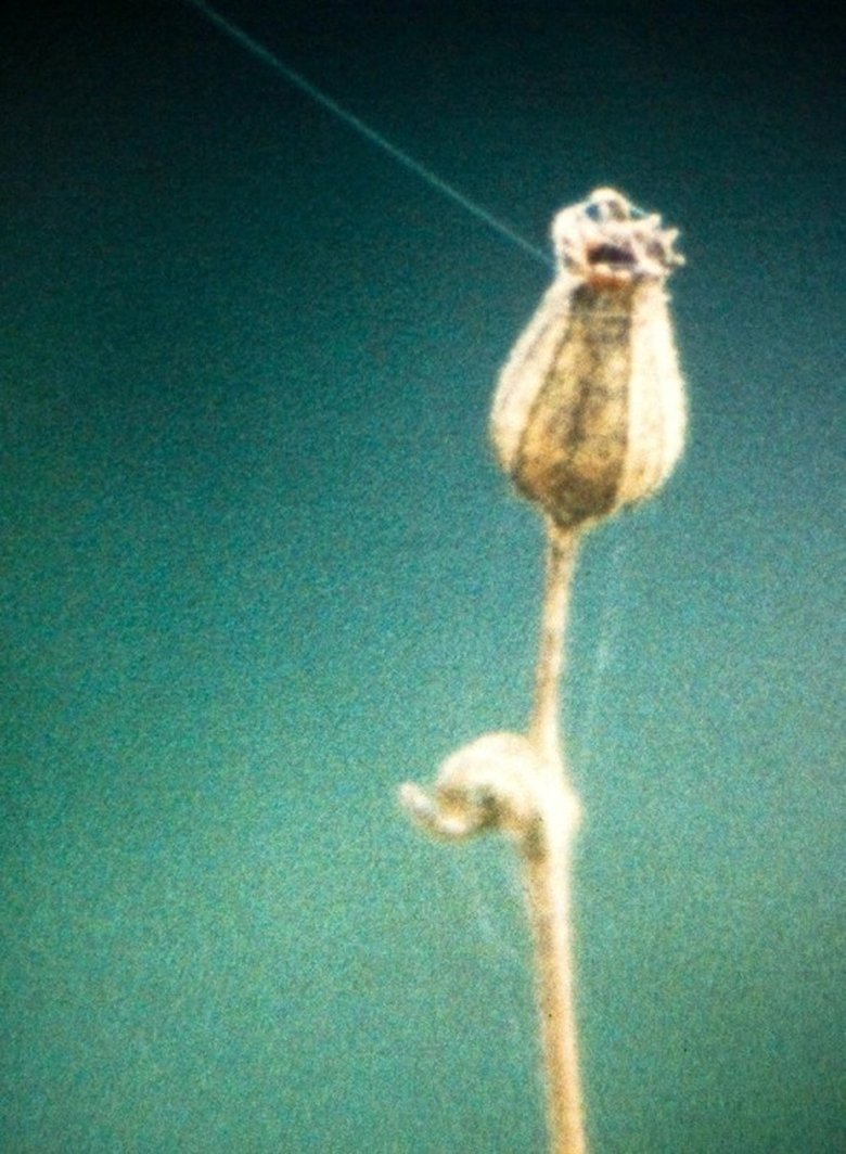 Poster of Villatalla