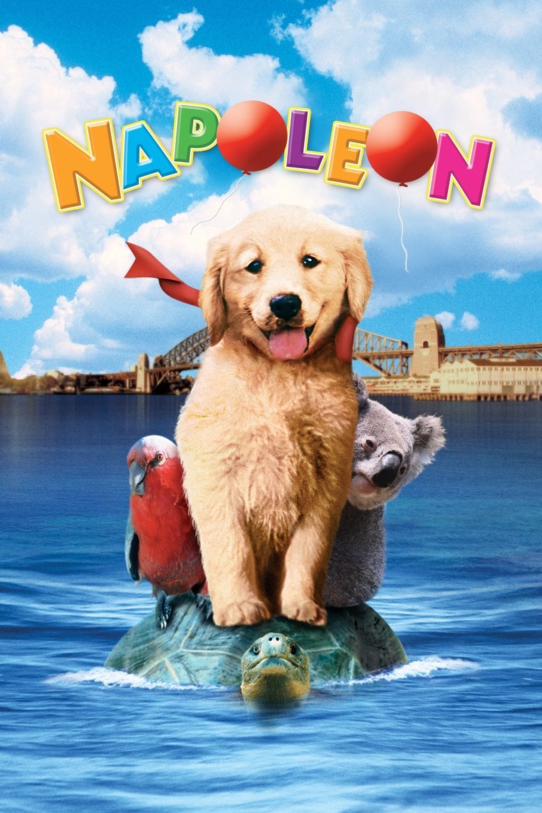 Poster of Napoleon