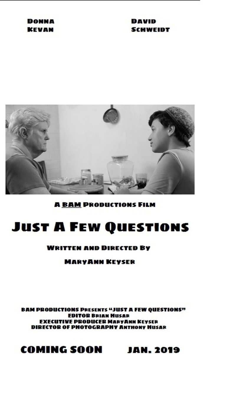 Poster of Just a Few Questions
