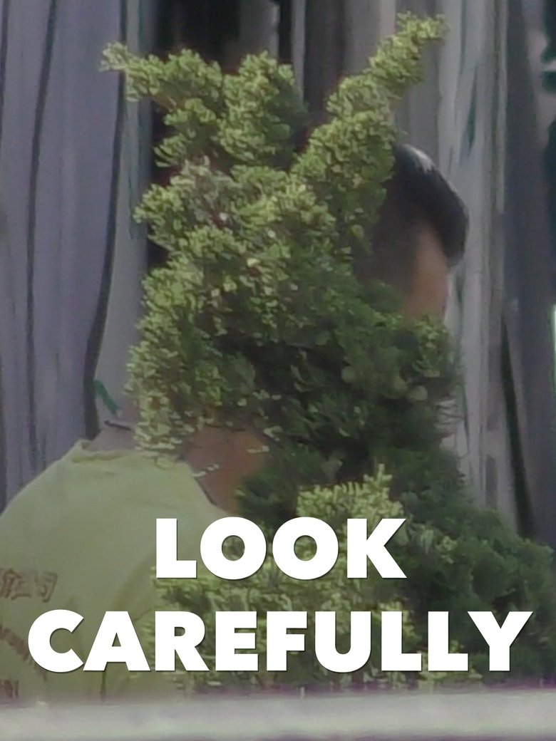 Poster of Look Carefully