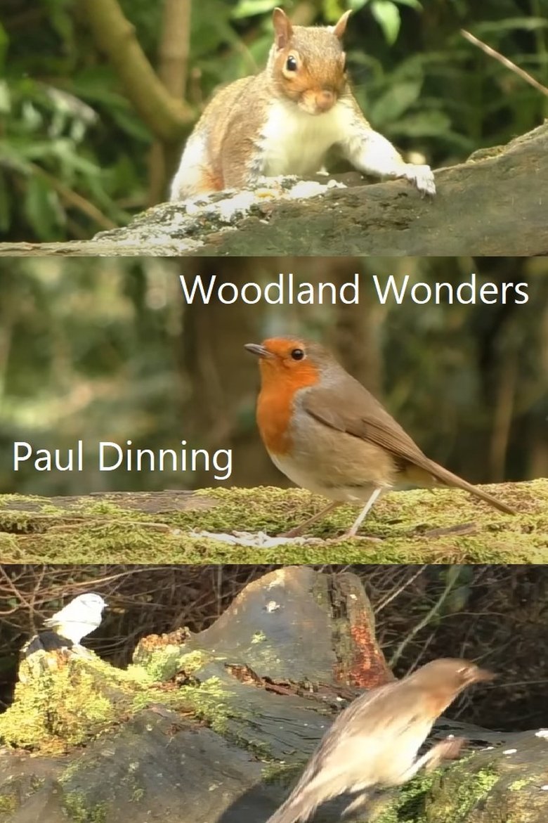 Poster of Woodland Wonders