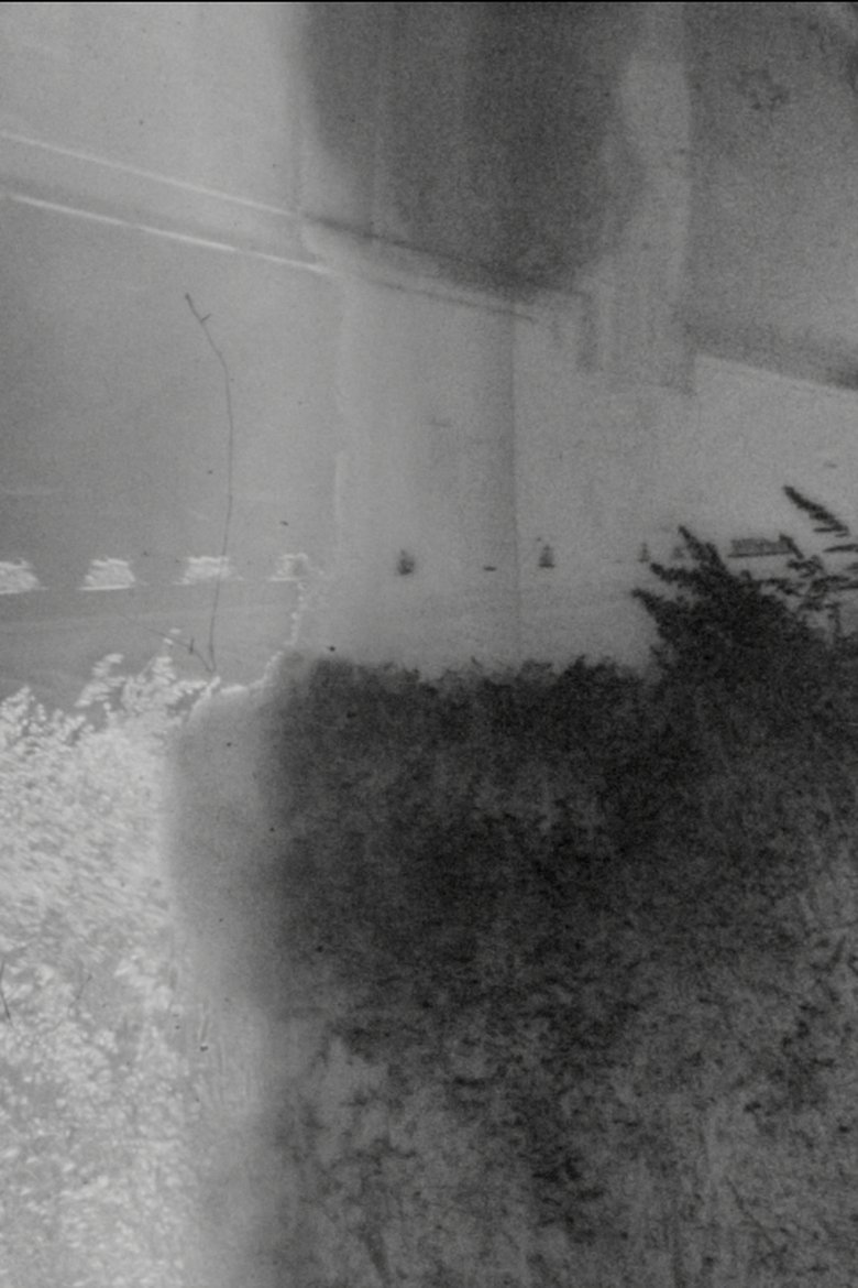 Poster of Los Plateados