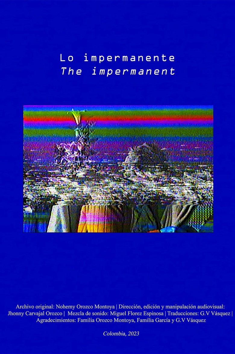 Poster of Lo impermanente
