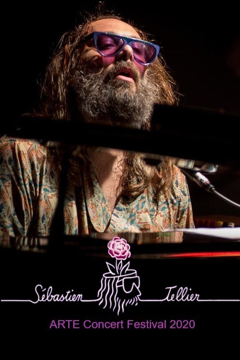 Poster of Sébastien Tellier au ARTE Concert Festival