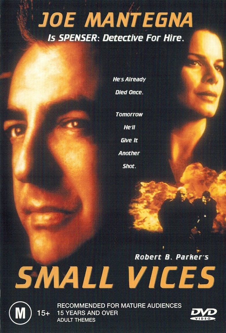 Poster of Small Vices