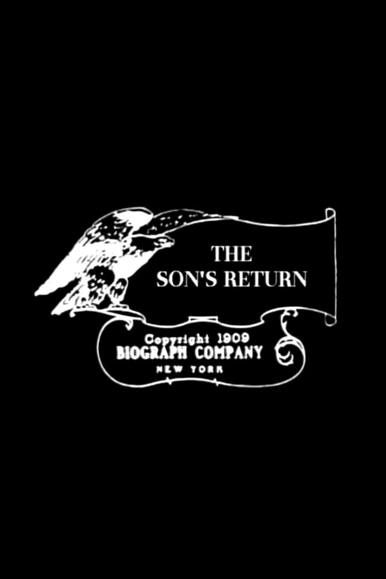 Poster of The Son's Return
