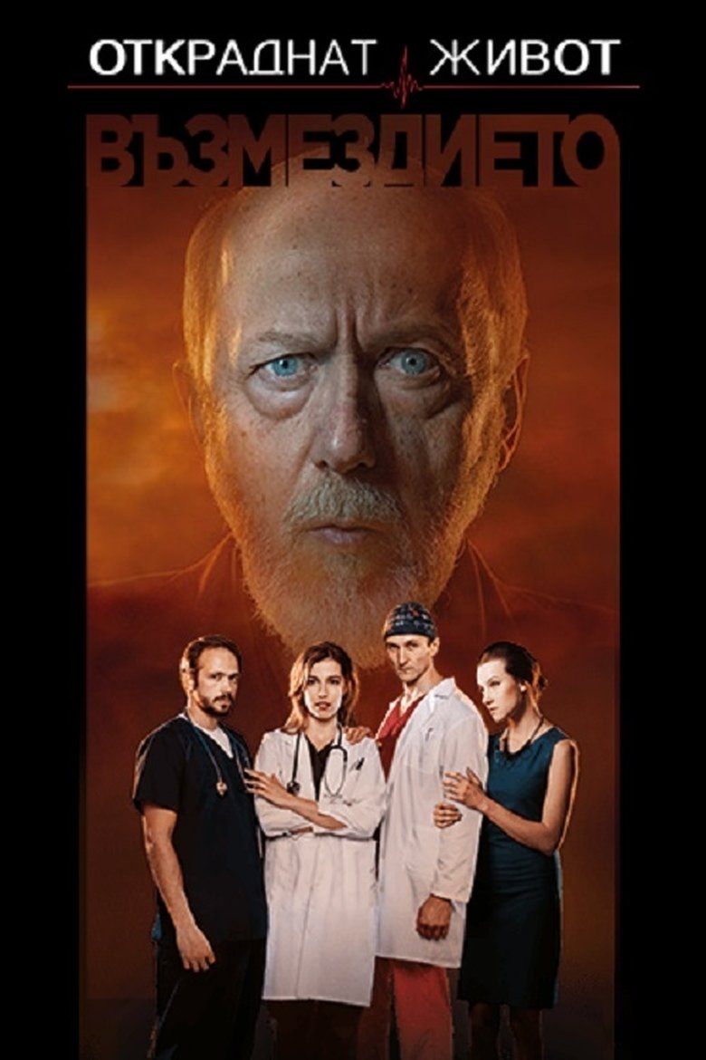 Poster of Cast and Crew in Stolen Life - Episode 13 (Season 3 - Episode 13) - Episode 13