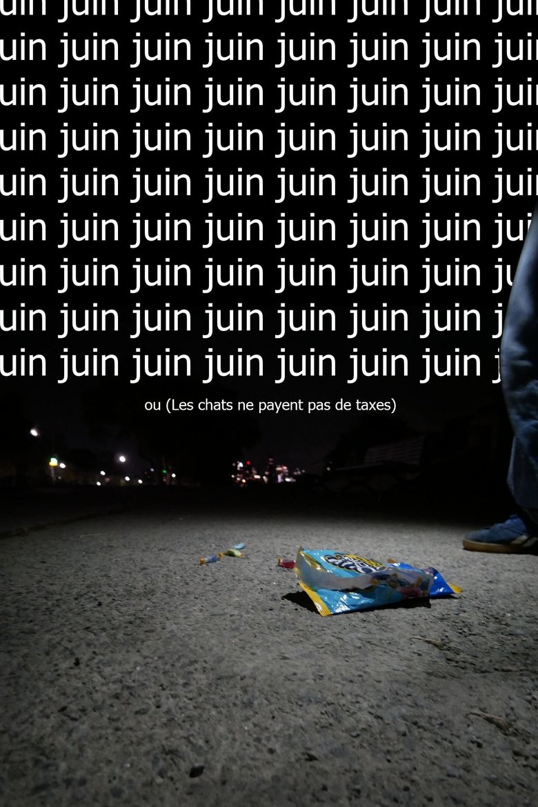 Poster of Juin ou  (Les chats ne payent pas de taxes)