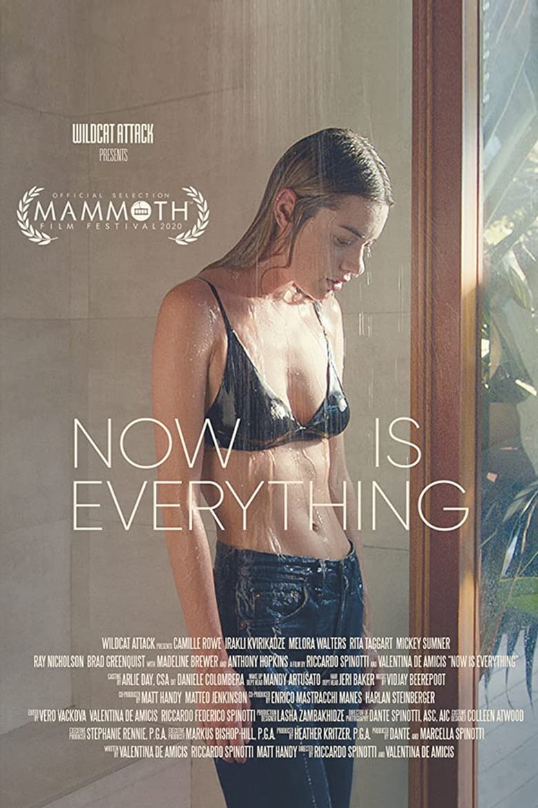Poster of Now Is Everything