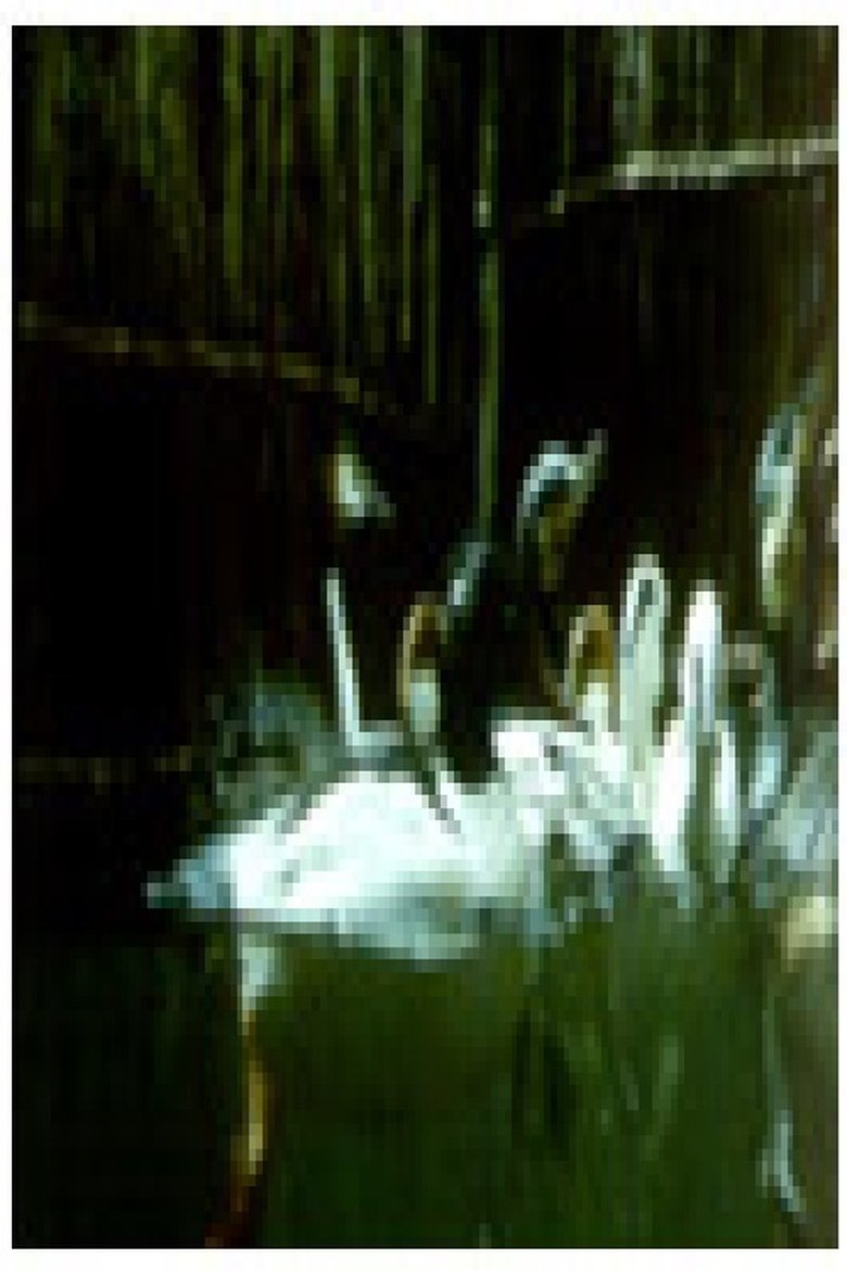 Poster of Birds and Fish