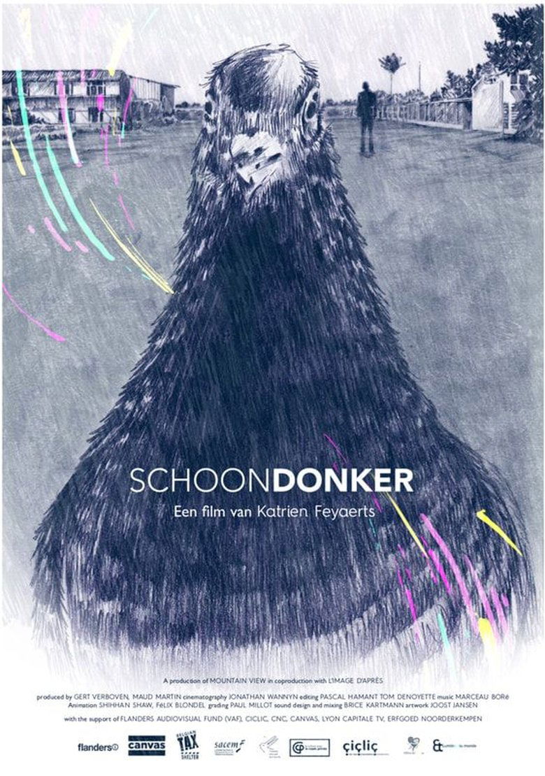 Poster of Schoon donker