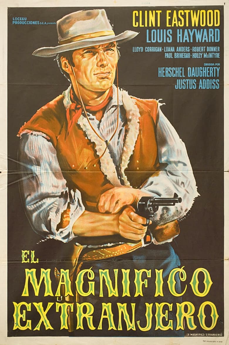 Poster of The Magnificent Stranger