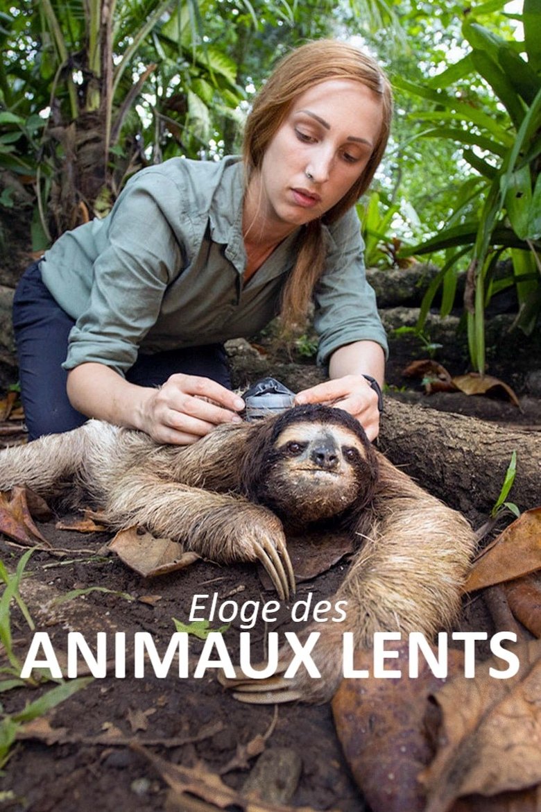 Poster of Éloge des animaux lents